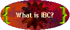 What is IBC?